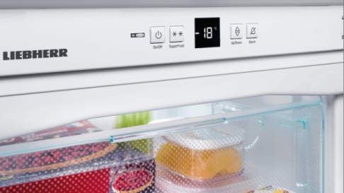Kan ik een vriezer in een onverwarmde ruimte plaatsen?