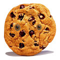 Analyserende 'spy-cy' cookies